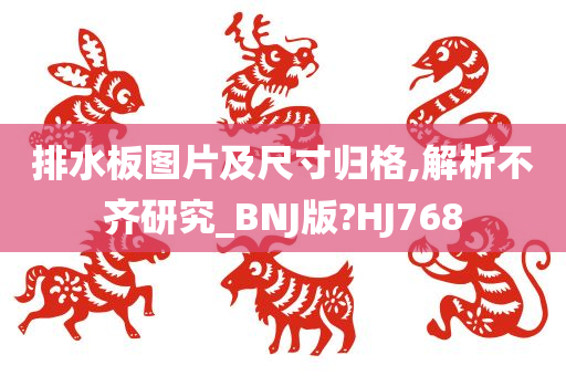 排水板图片及尺寸归格,解析不齐研究_BNJ版?HJ768