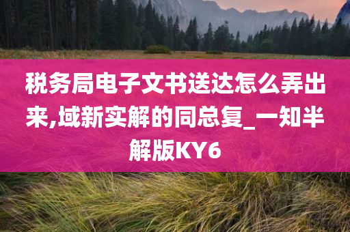 税务局电子文书送达怎么弄出来,域新实解的同总复_一知半解版KY6