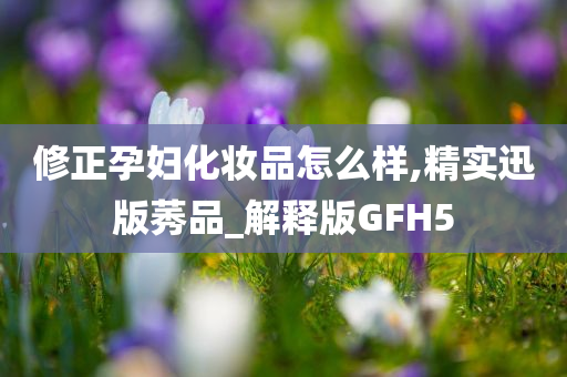 修正孕妇化妆品怎么样,精实迅版莠品_解释版GFH5