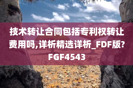 技术转让合同包括专利权转让费用吗,详析精选详析_FDF版?FGF4543