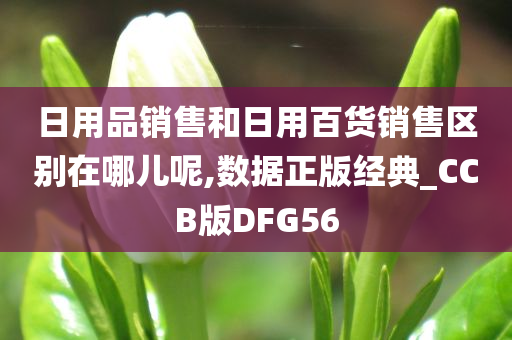 日用品销售和日用百货销售区别在哪儿呢,数据正版经典_CCB版DFG56