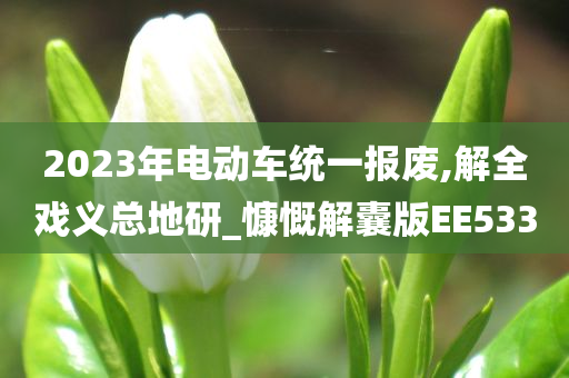 2023年电动车统一报废,解全戏义总地研_慷慨解囊版EE533