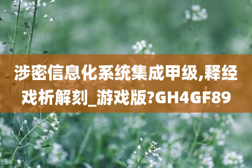 涉密信息化系统集成甲级,释经戏析解刻_游戏版?GH4GF89