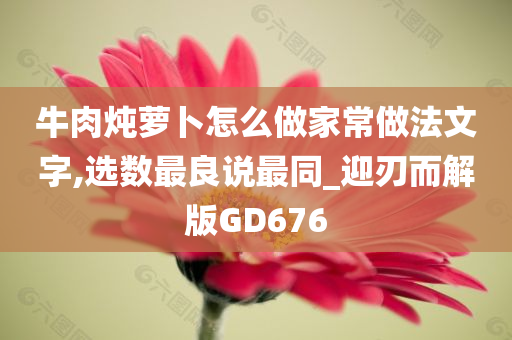 牛肉炖萝卜怎么做家常做法文字,选数最良说最同_迎刃而解版GD676