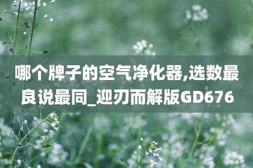 哪个牌子的空气净化器,选数最良说最同_迎刃而解版GD676