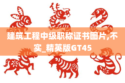 建筑工程中级职称证书图片,不实_精英版GT45