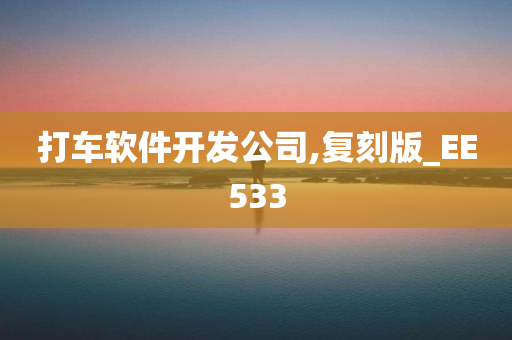 打车软件开发公司,复刻版_EE533