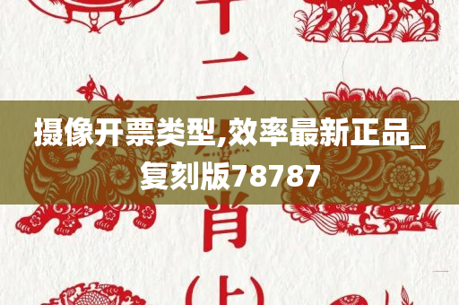 摄像开票类型,效率最新正品_复刻版78787