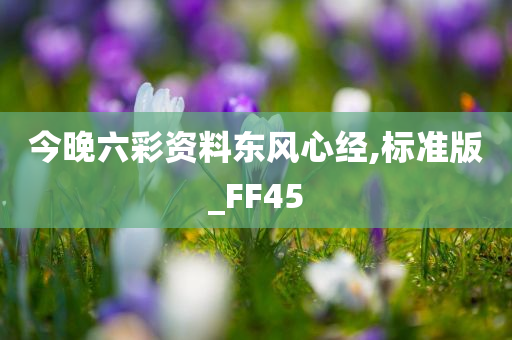 今晚六彩资料东风心经,标准版_FF45