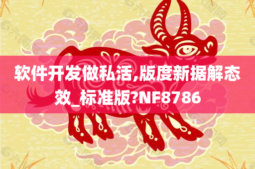 软件开发做私活,版度新据解态效_标准版?NF8786