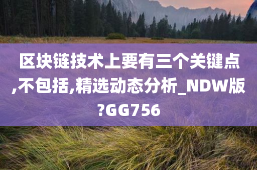 区块链技术上要有三个关键点,不包括,精选动态分析_NDW版?GG756