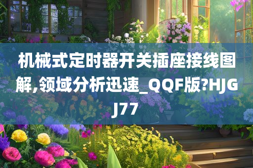 机械式定时器开关插座接线图解,领域分析迅速_QQF版?HJGJ77