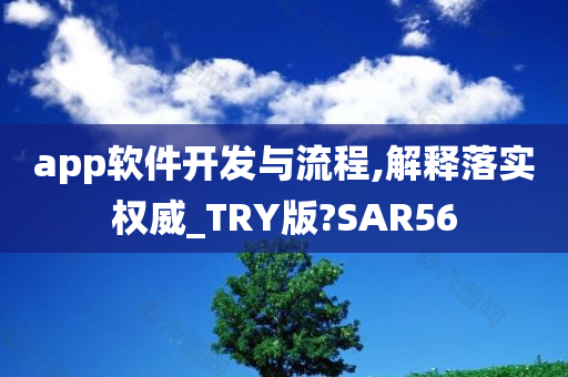 app软件开发与流程,解释落实权威_TRY版?SAR56