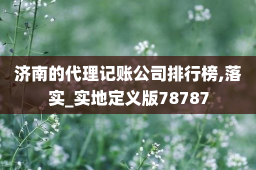 济南的代理记账公司排行榜,落实_实地定义版78787