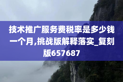 技术推广服务费税率是多少钱一个月,挑战版解释落实_复刻版657687