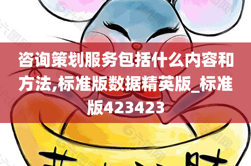 咨询策划服务包括什么内容和方法,标准版数据精英版_标准版423423