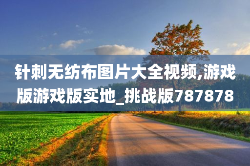 针刺无纺布图片大全视频,游戏版游戏版实地_挑战版787878