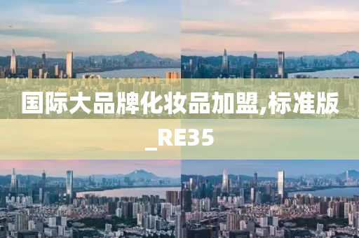 国际大品牌化妆品加盟,标准版_RE35