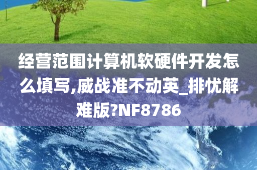 经营范围计算机软硬件开发怎么填写,威战准不动英_排忧解难版?NF8786