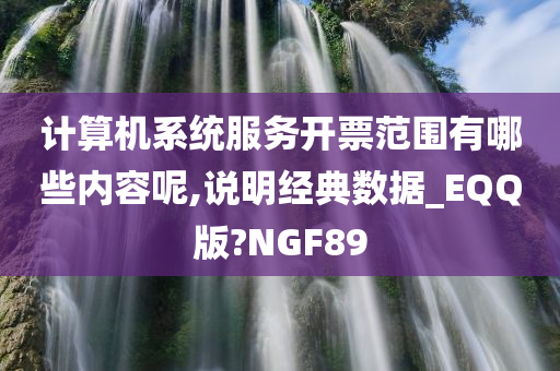 计算机系统服务开票范围有哪些内容呢,说明经典数据_EQQ版?NGF89