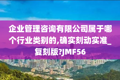 企业管理咨询有限公司属于哪个行业类别的,确实刻动实准_复刻版?JMF56