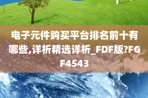 电子元件购买平台排名前十有哪些,详析精选详析_FDF版?FGF4543