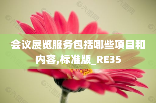 会议展览服务包括哪些项目和内容,标准版_RE35