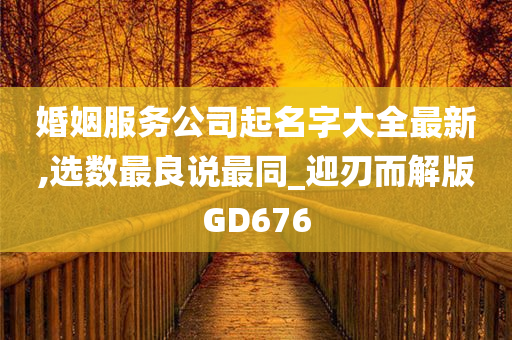 婚姻服务公司起名字大全最新,选数最良说最同_迎刃而解版GD676