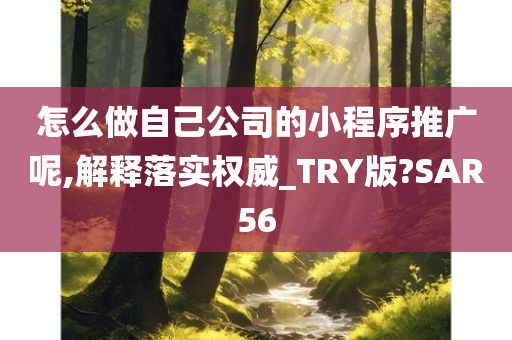 怎么做自己公司的小程序推广呢,解释落实权威_TRY版?SAR56