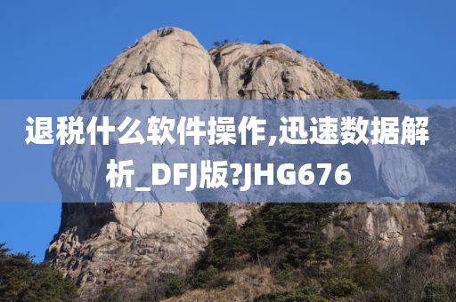 退税什么软件操作,迅速数据解析_DFJ版?JHG676