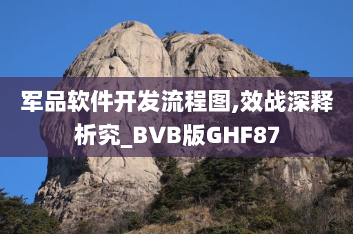 军品软件开发流程图,效战深释析究_BVB版GHF87