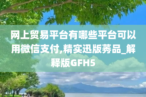 网上贸易平台有哪些平台可以用微信支付,精实迅版莠品_解释版GFH5