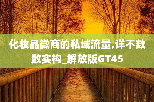 化妆品微商的私域流量,详不数数实构_解放版GT45