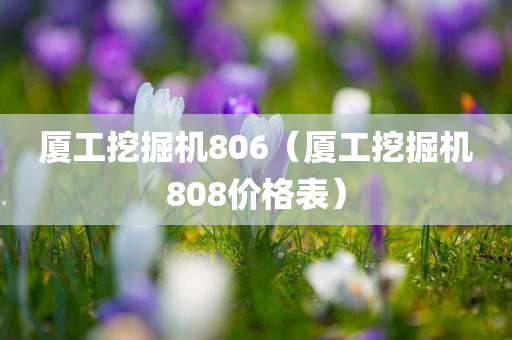 厦工挖掘机806（厦工挖掘机808价格表）