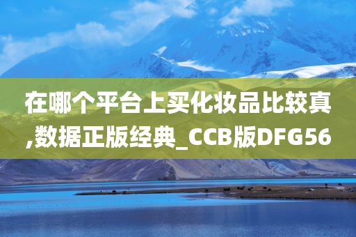 在哪个平台上买化妆品比较真,数据正版经典_CCB版DFG56