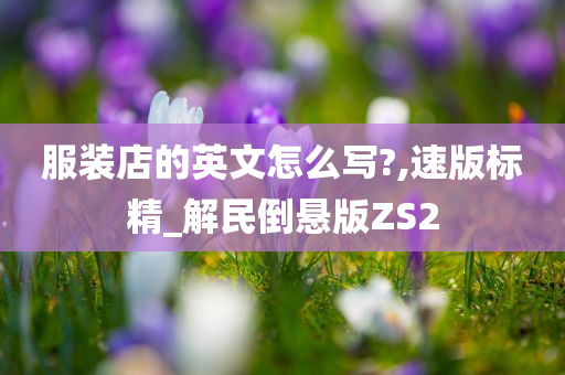 服装店的英文怎么写?,速版标精_解民倒悬版ZS2