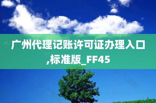 广州代理记账许可证办理入口,标准版_FF45