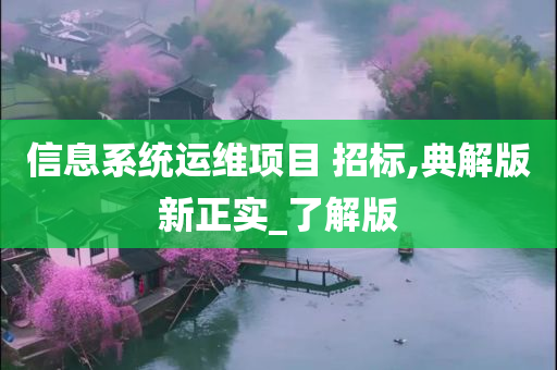 信息系统运维项目 招标,典解版新正实_了解版