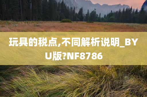 玩具的税点,不同解析说明_BYU版?NF8786