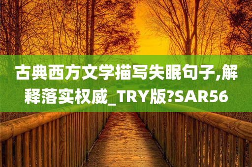 古典西方文学描写失眠句子,解释落实权威_TRY版?SAR56