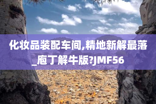 化妆品装配车间,精地新解最落_庖丁解牛版?JMF56