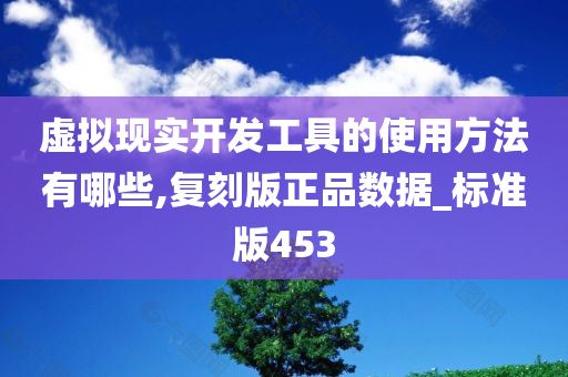 虚拟现实开发工具的使用方法有哪些,复刻版正品数据_标准版453