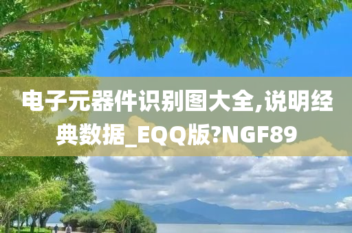 电子元器件识别图大全,说明经典数据_EQQ版?NGF89