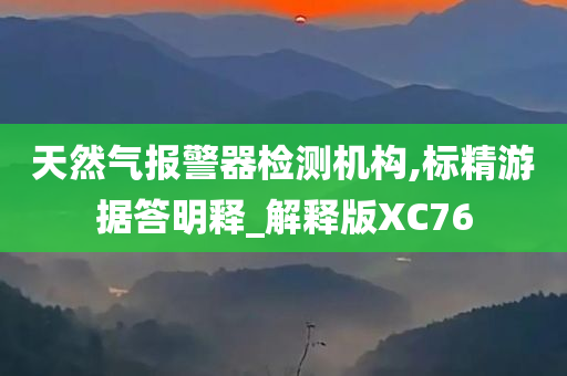 天然气报警器检测机构,标精游据答明释_解释版XC76