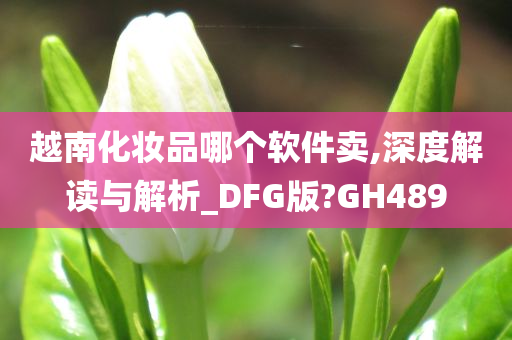 越南化妆品哪个软件卖,深度解读与解析_DFG版?GH489