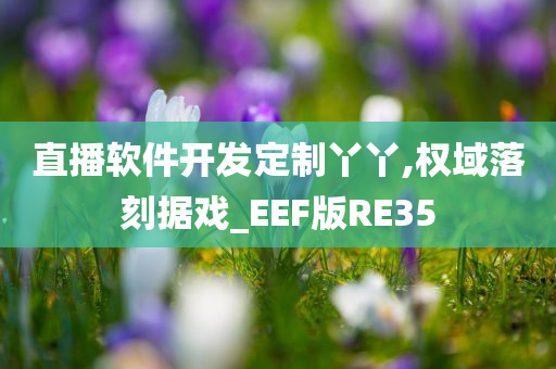 直播软件开发定制丫丫,权域落刻据戏_EEF版RE35