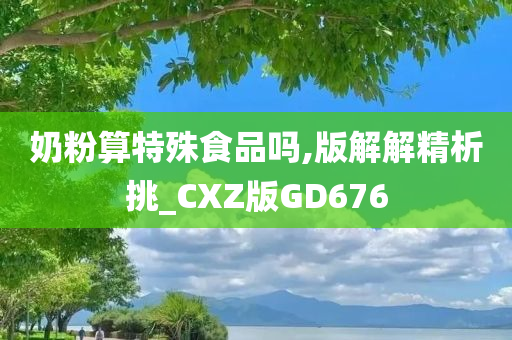 奶粉算特殊食品吗,版解解精析挑_CXZ版GD676