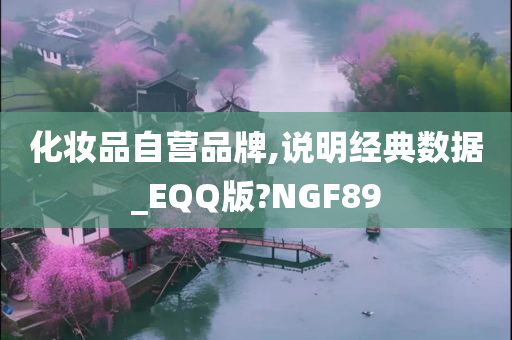 化妆品自营品牌,说明经典数据_EQQ版?NGF89