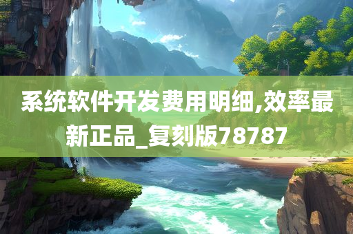 系统软件开发费用明细,效率最新正品_复刻版78787