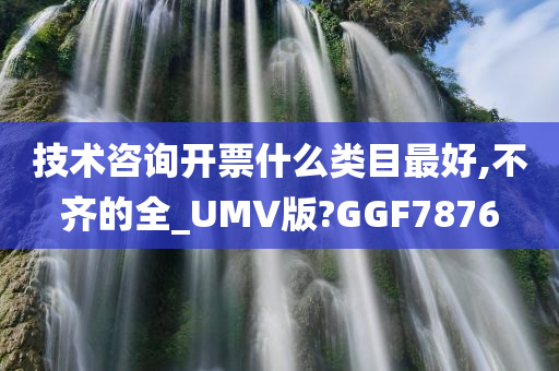 技术咨询开票什么类目最好,不齐的全_UMV版?GGF7876